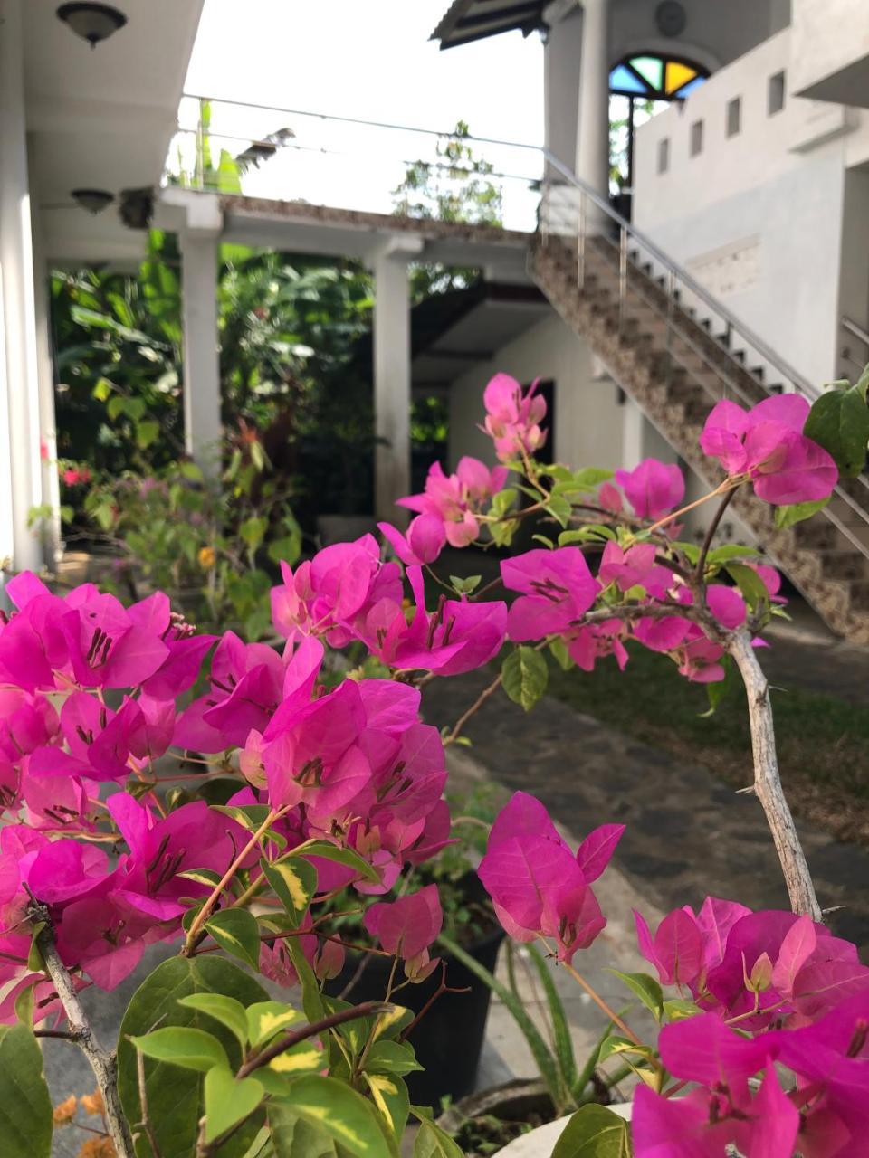 Tiny Royal Palace Unawatuna Εξωτερικό φωτογραφία